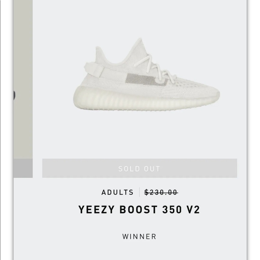 Adidas Yeezy 350 V2